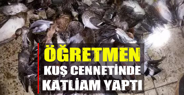 Öğretmen Kuş Cennetinde katliam yaptı