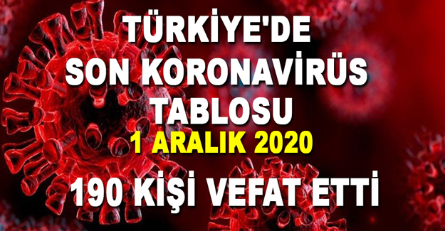 Türkiye Güncel Korona Virüs Tablosu 1aralık 2020