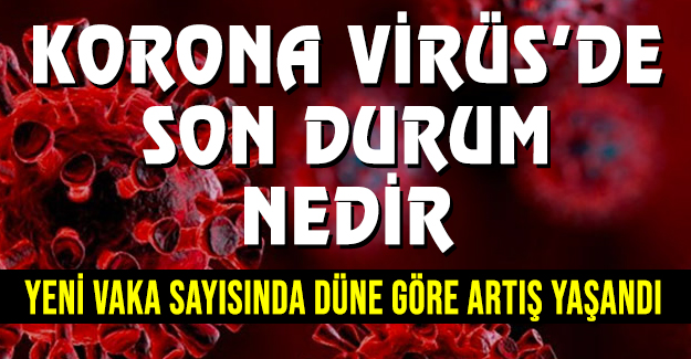 Korona virüs'de son durum nedir