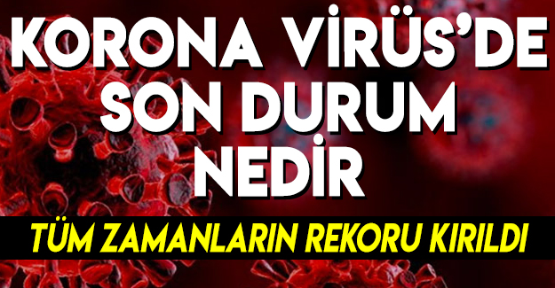 Türkiye günlük koronavirüs tablosu