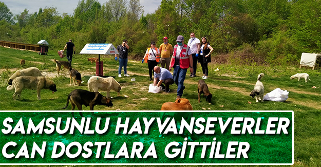 Can Dostlara Gittiler