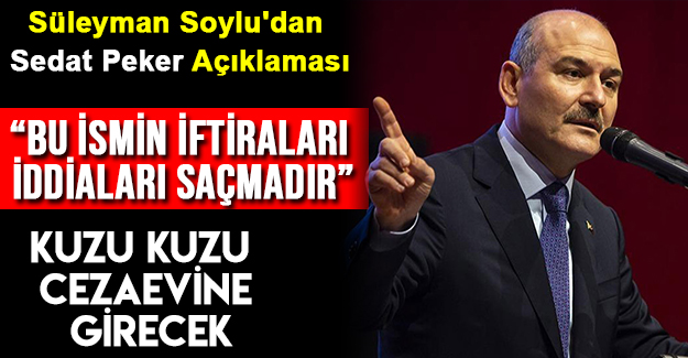 Süleyman Soylu'dan Sedat Peker Açıklaması