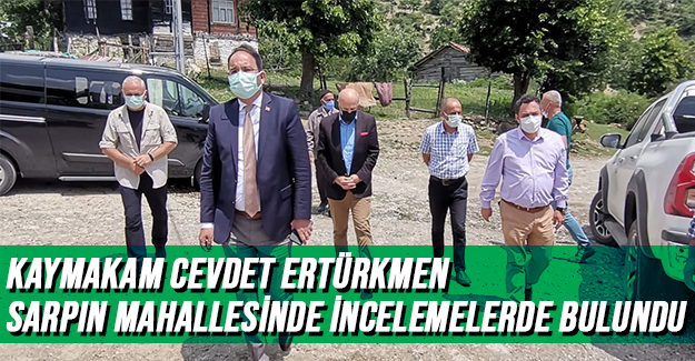 Kaymakam Ertürkmen Sarpın Mahallesinde İncelemelerde Bulundu