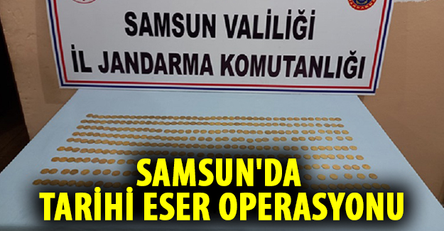 Samsun'da Tarihi Eser Operasyonu