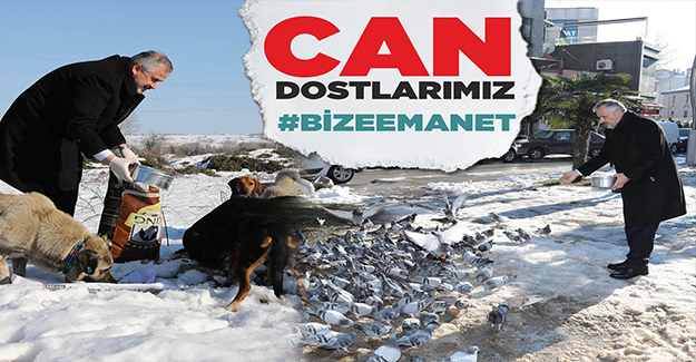 Can Dostlarımız Bize Emanet