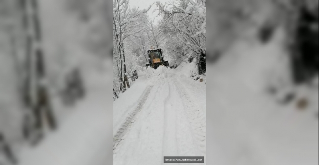 Ordu'da kar yağışı şiddetini artırdı