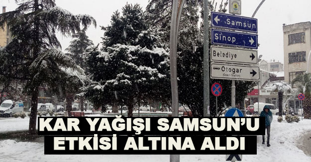 Samsun'da kar yağışı başladı