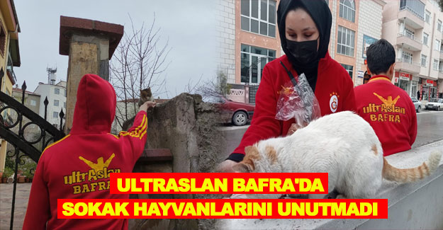 ultrAslan Bafra'da sokak hayvanlarını unutmadı