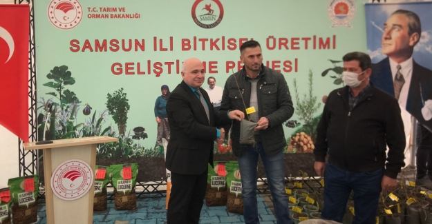 Samsun'da Tarımsal desteklemeler sürüyor