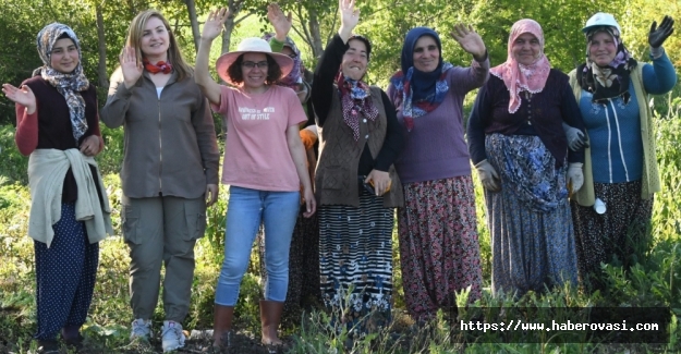 Örnek kadın çiftçiler Samsun'da