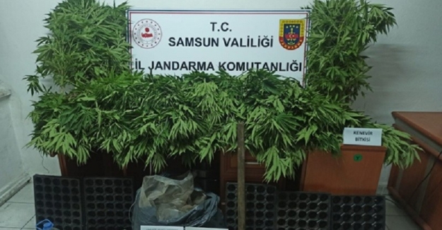 Samsun'da uyuşturucuya geçit yok