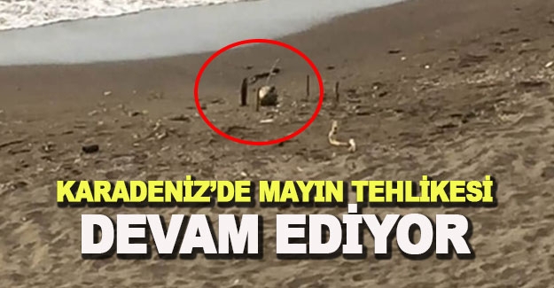 Karadeniz'de mayın tehlikesi