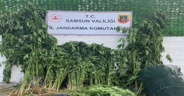 Samsun'da Jandarma'dan üstün başarı