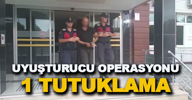 Jandarmadan uyuşturucu operasyonu 1 tutuklama