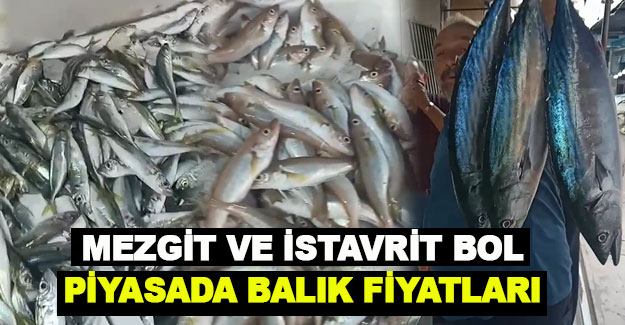 Piyasanın pahalılığı balıklarıda vurdu