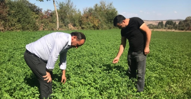 35 çiftçiye tohum desteğinde bulunuldu