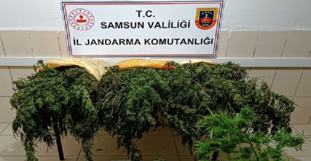 Jandarma’dan Uyuşturucu ve Kaçakçılık Operasyonu