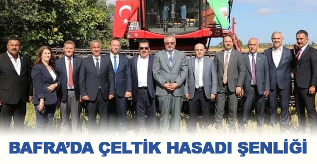 Bafra'da Çeltik hasadı şenliği düzenlendi