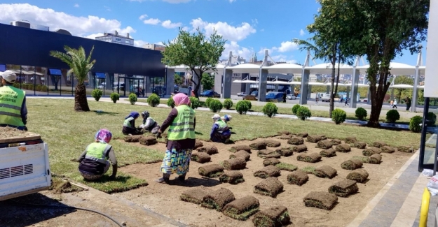 Samsun'da tasarruf üretimle artıyor