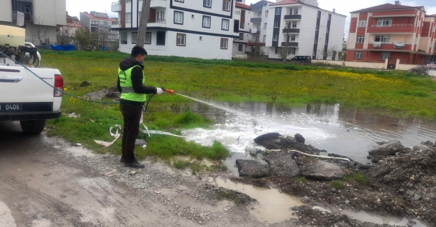 Bafra'da larvalarla savaş başladı