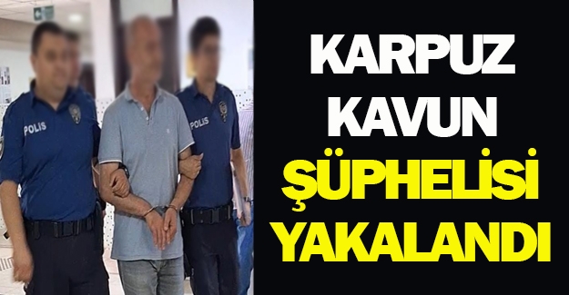 Bafra'da karpuz kavun çalan şüpheli serbest bırakıldı