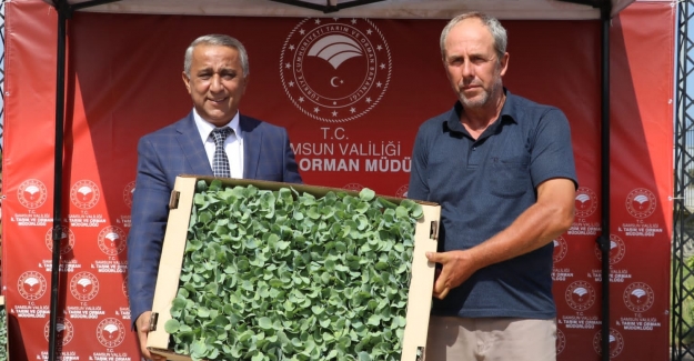Bafra Ovasında Sebze Üretimi Projesi Kapsamında Fide Teslim Töreni