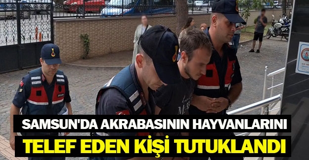 Samsun'da akrabasının hayvanlarını telef eden kişi tutuklandı