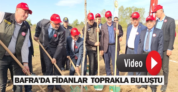 Bafra'da fidanlar toprakla buluştu