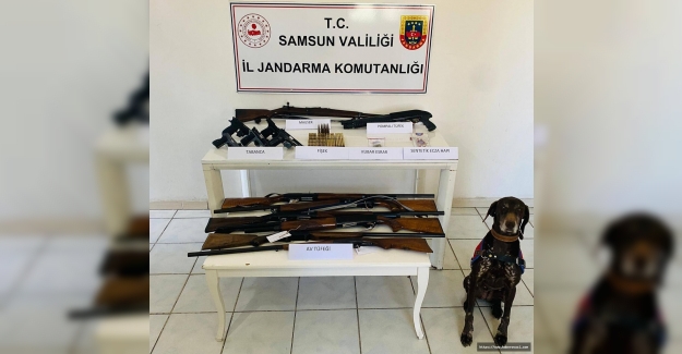 Samsun'da silah kaçakçılığı operasyonu 10 gözaltı