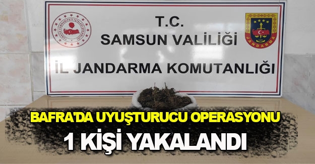 Bafra'da uyuşturucu operasyonu 1 kişi yakalandı