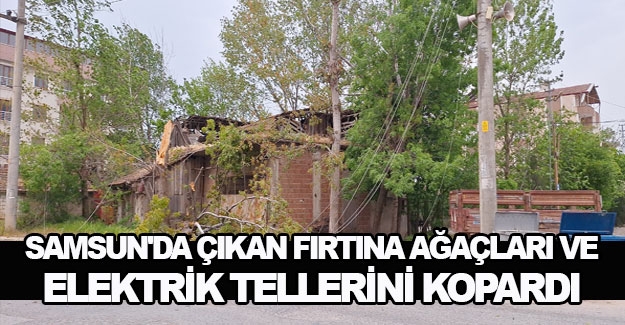 Samsun'da çıkan fırtına ağaçları ve elektrik tellerini kopardı