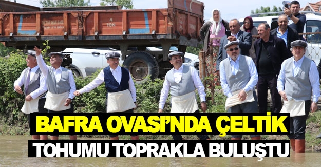 Bafra Ovası’nda Çeltik Tohumu toprakla buluştu