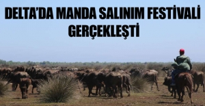 Bafra Deltası Manda Salınım Festivali..