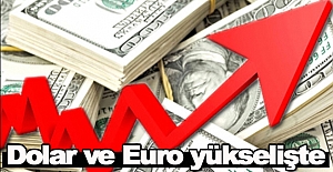 Dolar ve Euro'da yükseliş sürüyor