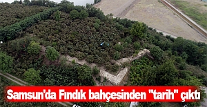 Samsun'da Fındık bahçesinden "tarih" çıktı
