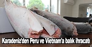Karadeniz'den Peru ve Vietnam'a balık ihracatı