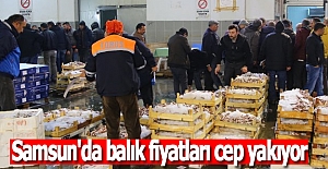 Samsun'da Balık Fiyatları cep yakıyor