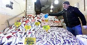 Samsun'da Balık İhracatı