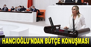 Hancıoğlu'ndan bütçe konuşması.