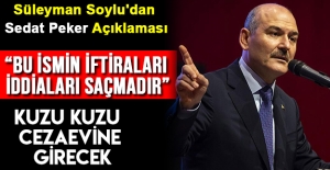 Süleyman Soylu'dan Sedat Peker Açıklaması