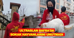 ultrAslan Bafra'da sokak hayvanlarını unutmadı