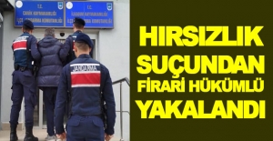 Samsun'da hırsızlık suçundan 19 yıl hapis cezası bulunan firari yakalandı